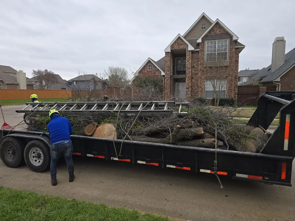 Expert Tree Removal with proper safety equipment in Van Wyck